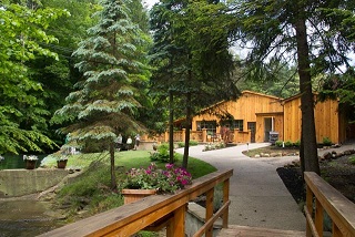 Photo of Natural Wooded Venue