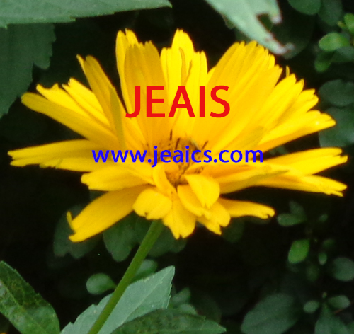 Photo of JEAISCO