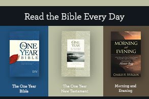 Read the Bible Every Day