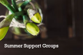 Summer Support Groups